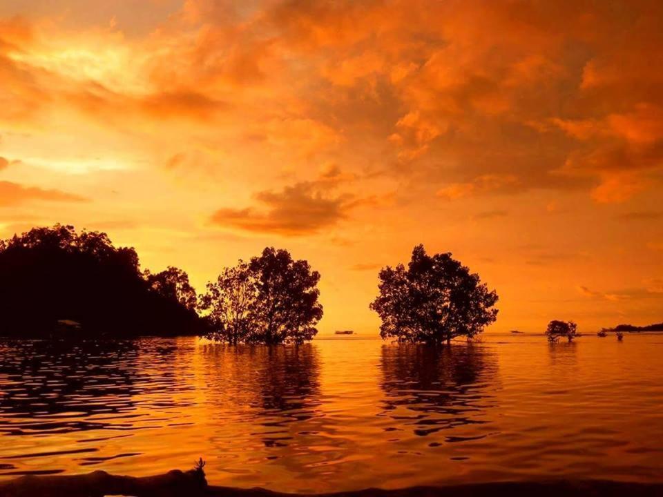 Sumatra Ecolodge Sungaipisang Екстер'єр фото