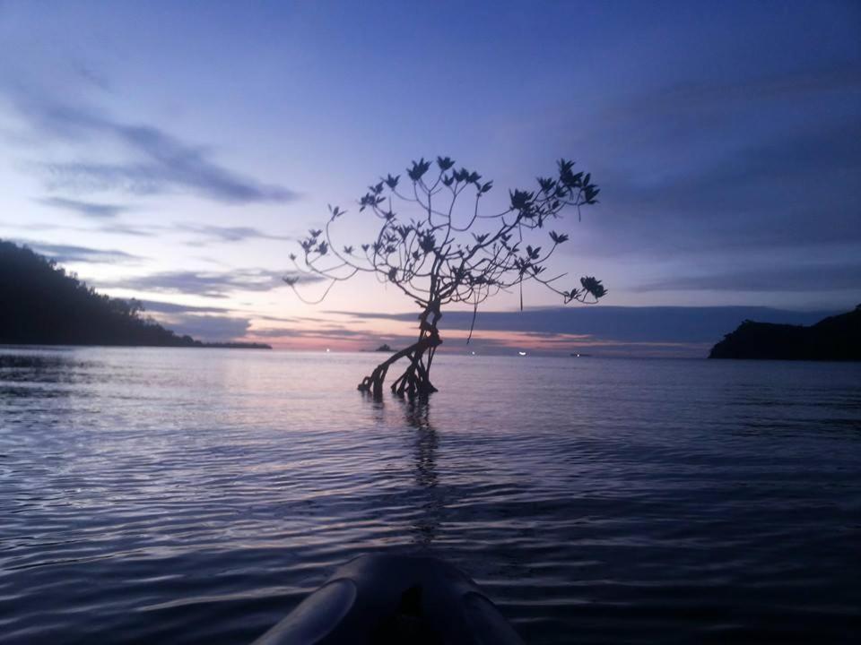 Sumatra Ecolodge Sungaipisang Екстер'єр фото