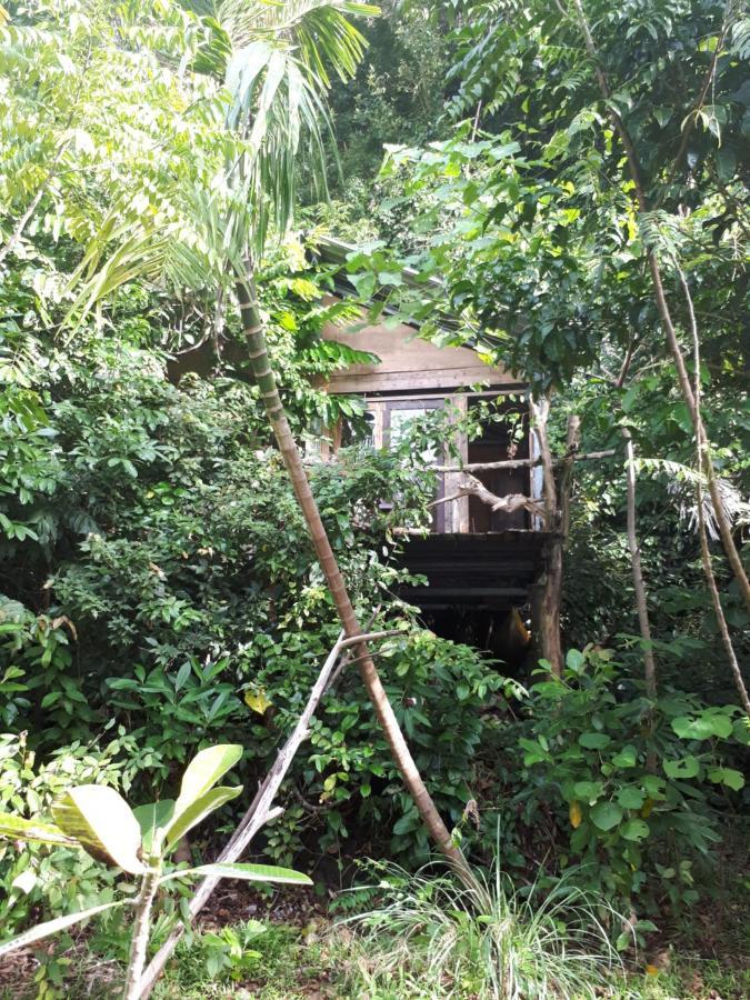 Sumatra Ecolodge Sungaipisang Екстер'єр фото